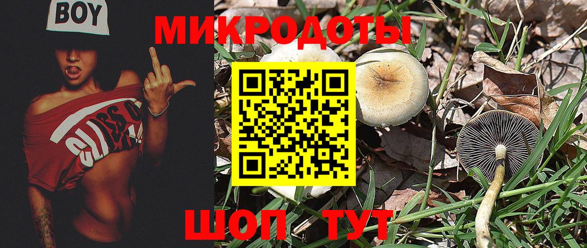 Галлюциногенные грибы Cubensis  Вход с VPN  Назарово 