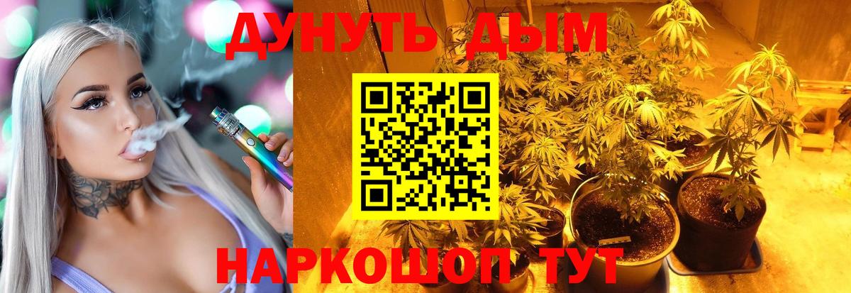 Бошки Шишки гибрид  Канабис план  Вход с VPN  Назарово  Конопля сатива 