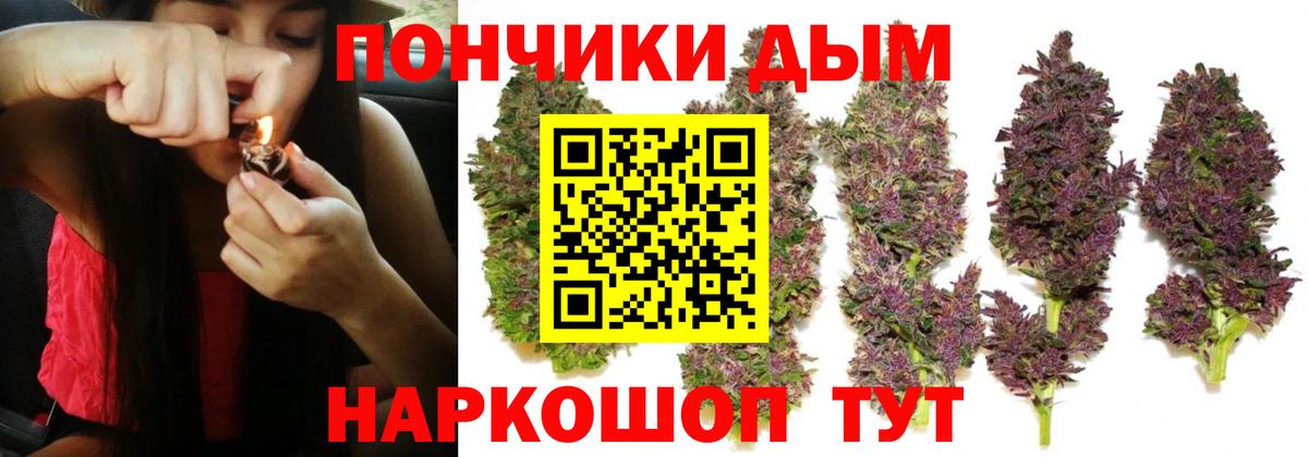 Бошки марихуана VHQ Назарово